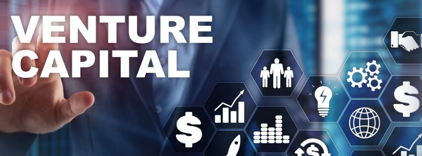 Venture Capital Market 2024