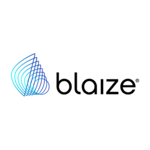 2025 Blaize, Inc.